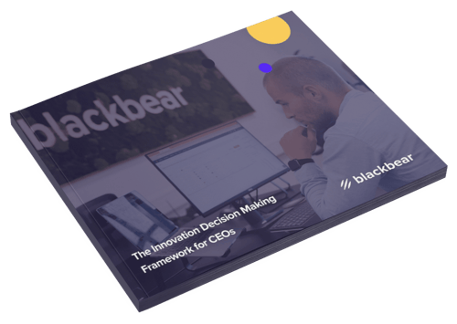 blackbear - The Innovation Decision Making Framework for CEOs 3D Cover